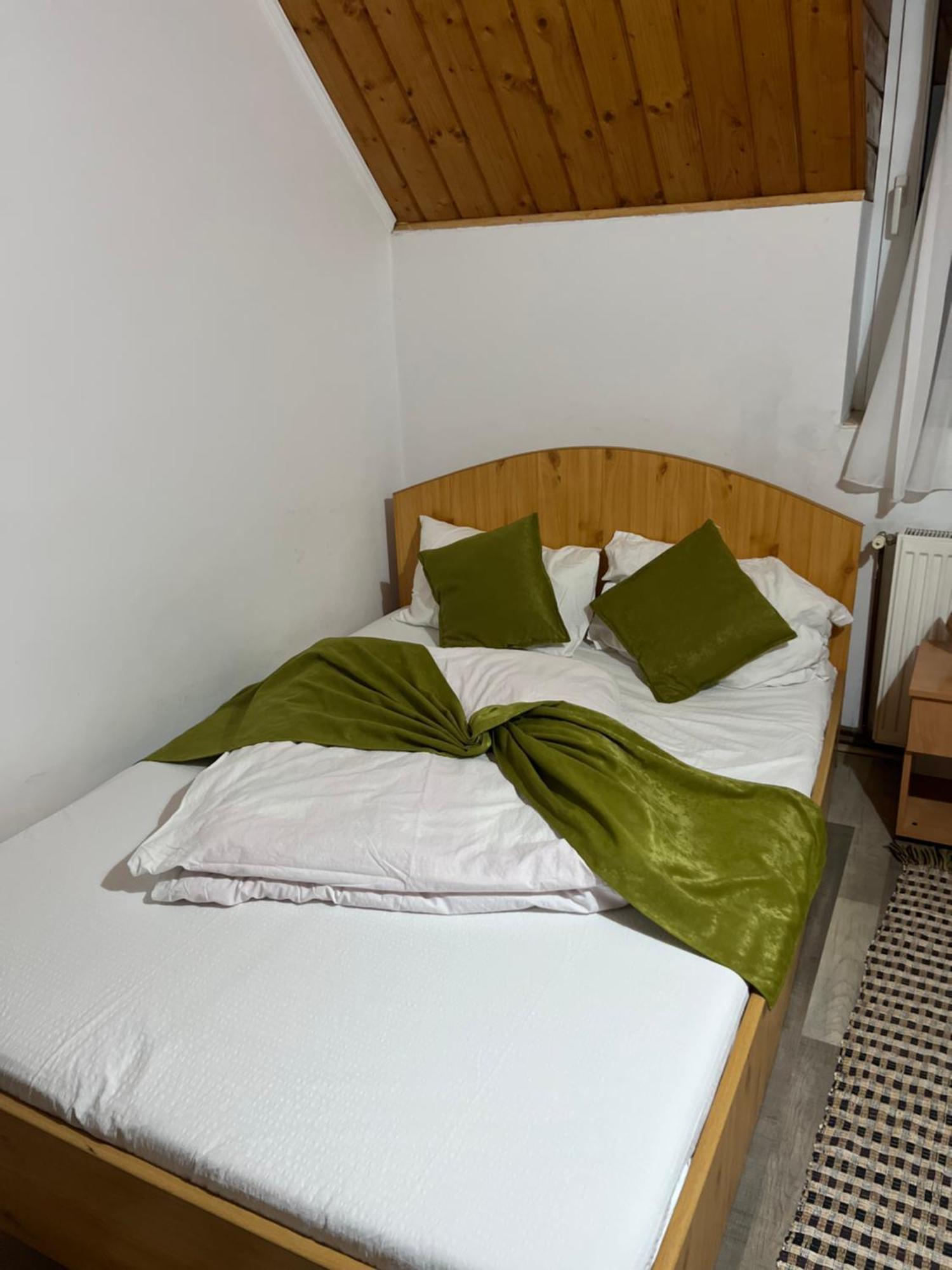 Vila Speranta Arieşeni 外观 照片